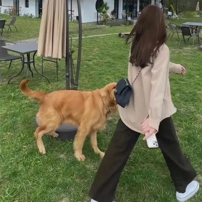 谁是第三者